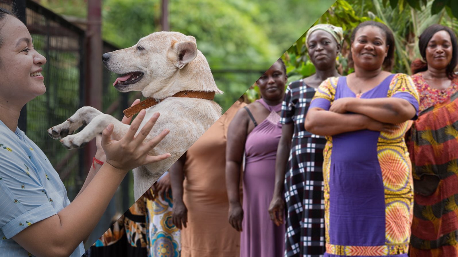 Mars Launches $85M Fund for Communities and Vet Care | Mars Global